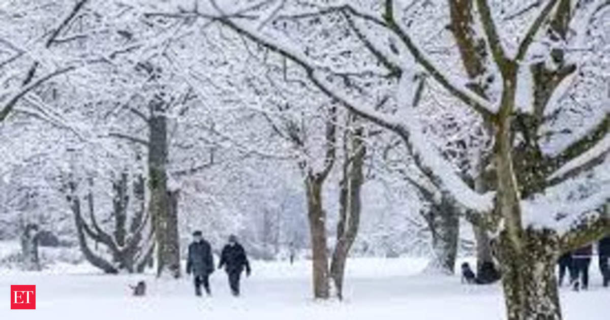 Special £25 Cold Weather Payments set to enter bank accounts in